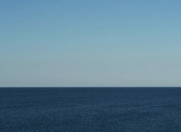 Blog-wk39_2026-header